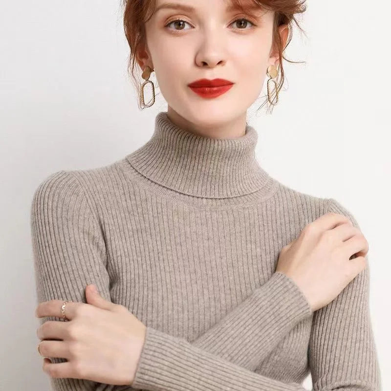 Turtleneck Knit Sweater